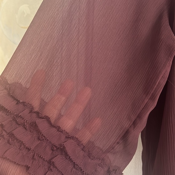 Ann Taylor Burgundy Ethereal Scoop-neck Blouse with Ruffled Sheer Sleeves. EUC - Picture 5 of 10